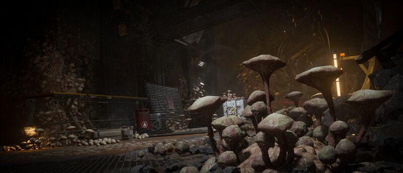 Soubor:Alliance aid 02.jpg